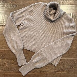 Cropped Reformation Turtleneck